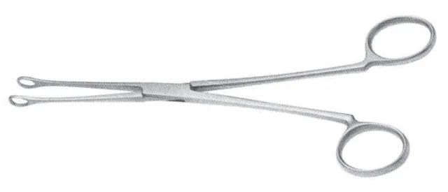 Pince Calculs Blacke Courbe 210 mm — REF 28102