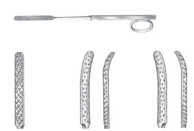 Rape Gallaher 160 mm Droite — REF 41404