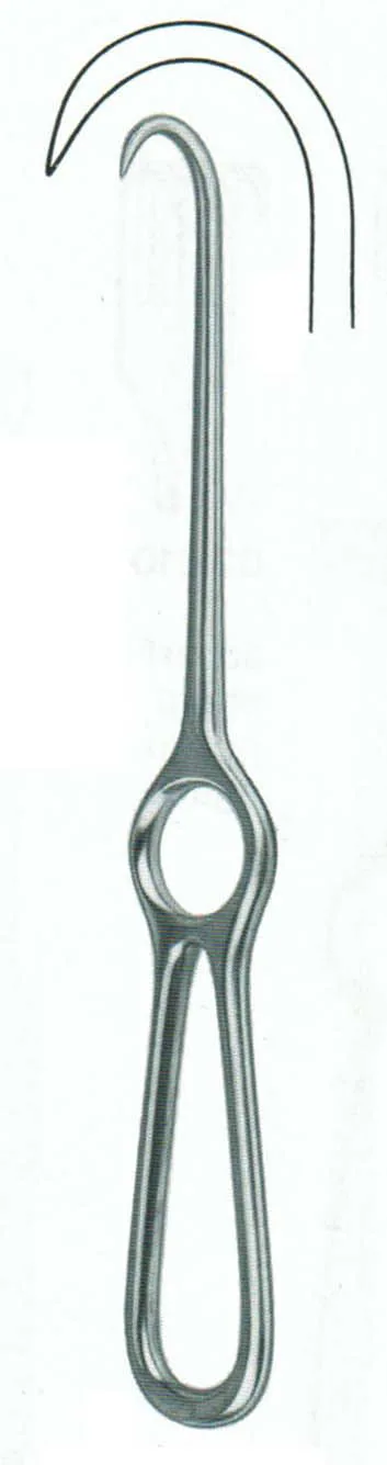 Crochet Volkmann 220 mm Pointu a Os - REF K562