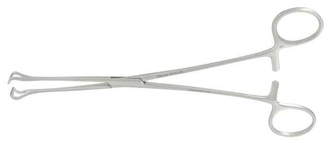 Grasping forceps Babcock 21 cm At Raum — REF 38304P