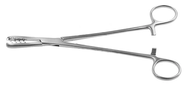 Bricher Gansk Holderforceps / bone Dingmann 200 mm — REF 16214
