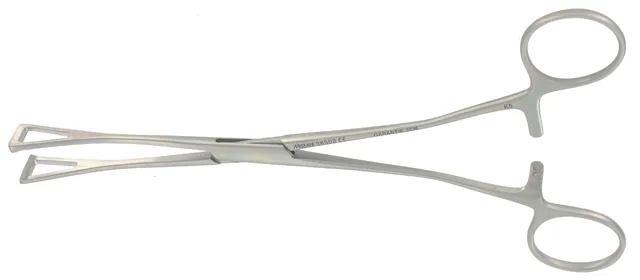Pince Préhension Ajouré Duval 200 X 13 mm Dente — REF 38502P