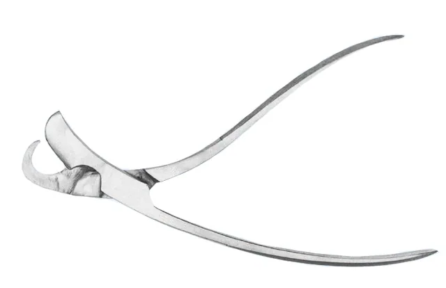 Rib Shear Collin Eslander 17 cm Infant — REF 13005