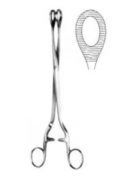 Forceps A dressing Noto Polypus 28 cm straight — REF 37708