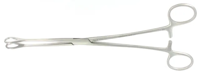 Pince Pansem Foerster Strie 250 mm Droite — REF 37607P