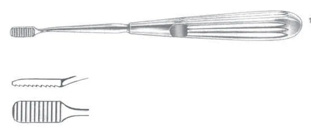Rape Lewis 180 mm — REF 41501