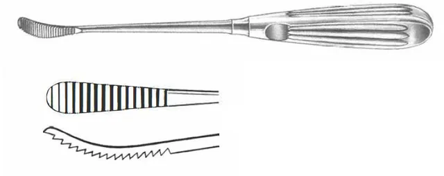 Rape Aufricht 210 mm En Poussant — REF 41402
