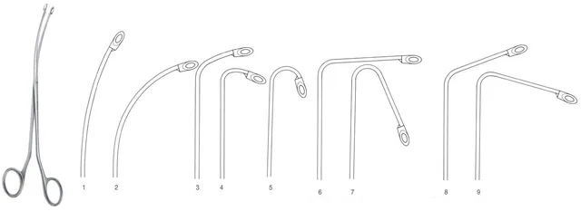 Pince Calculs Mirizzi Figure 5 230 mm — REF 28205P