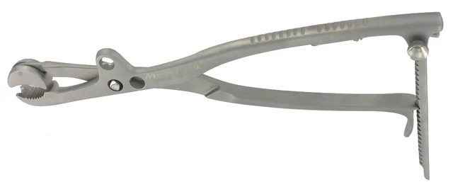 Holderforceps / bone Lambotte straight W/ Rat.22 cm — REF 16301P