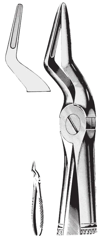 Dentaire Davier N°51a — REF Z726