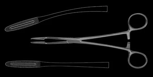 Pince Pansem Gross Maier 250 mm Courbe — REF A4CL