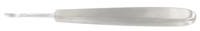 Rugine Veau 150 mm Droite — REF W862